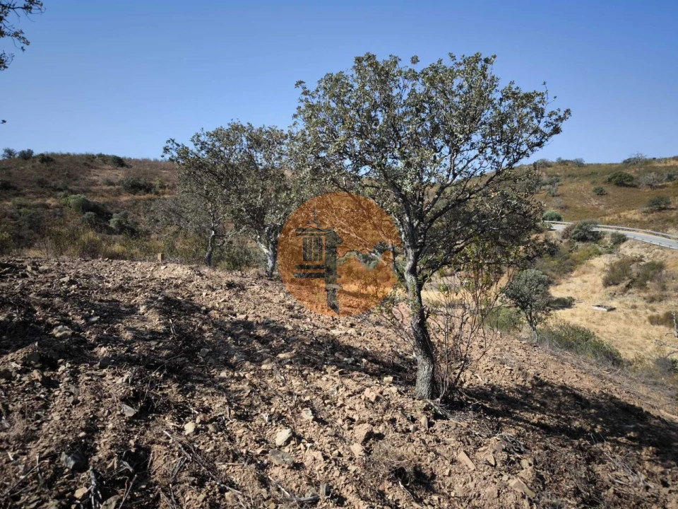 Terreno para Venda em Azinhal Foto 20