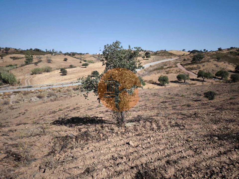 Terreno para Venda em Azinhal Foto 22