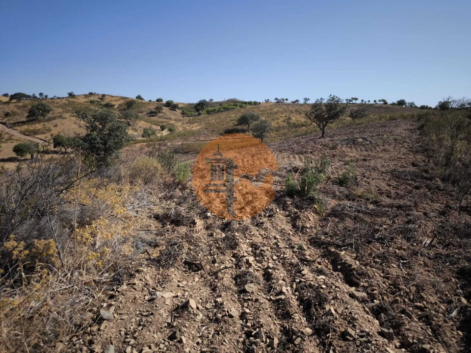 Terreno para Venda em Azinhal Foto 23