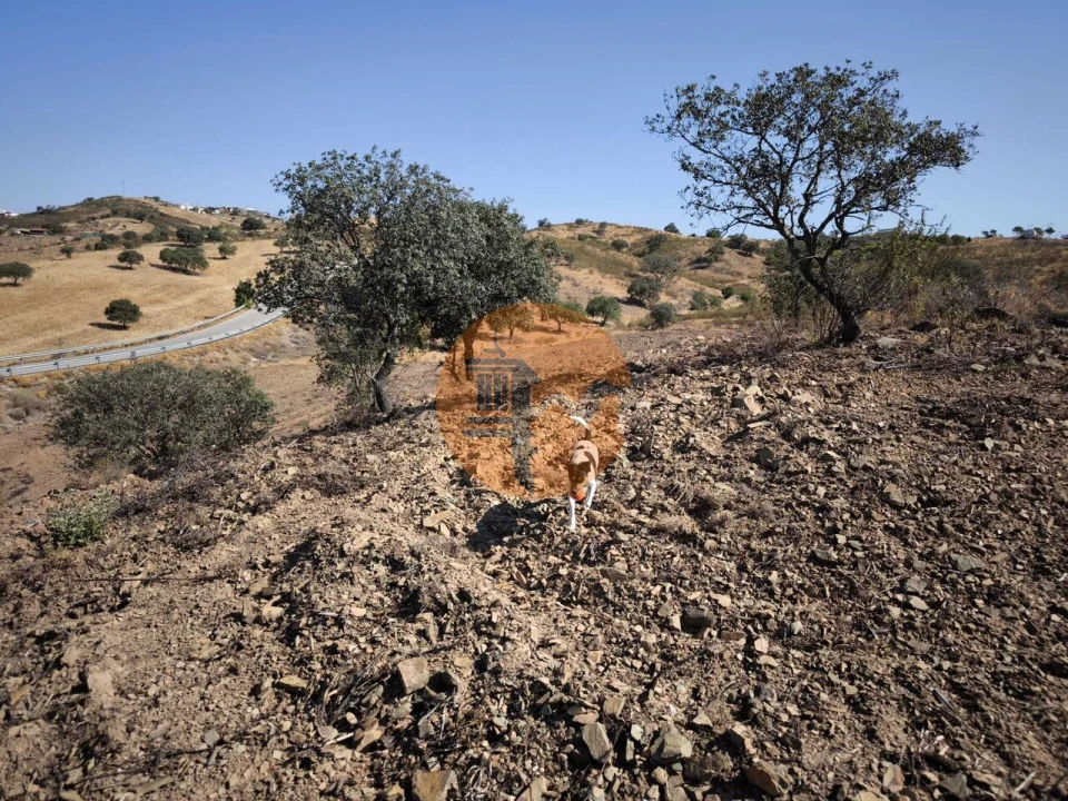 Terreno para Venda em Azinhal Foto 26