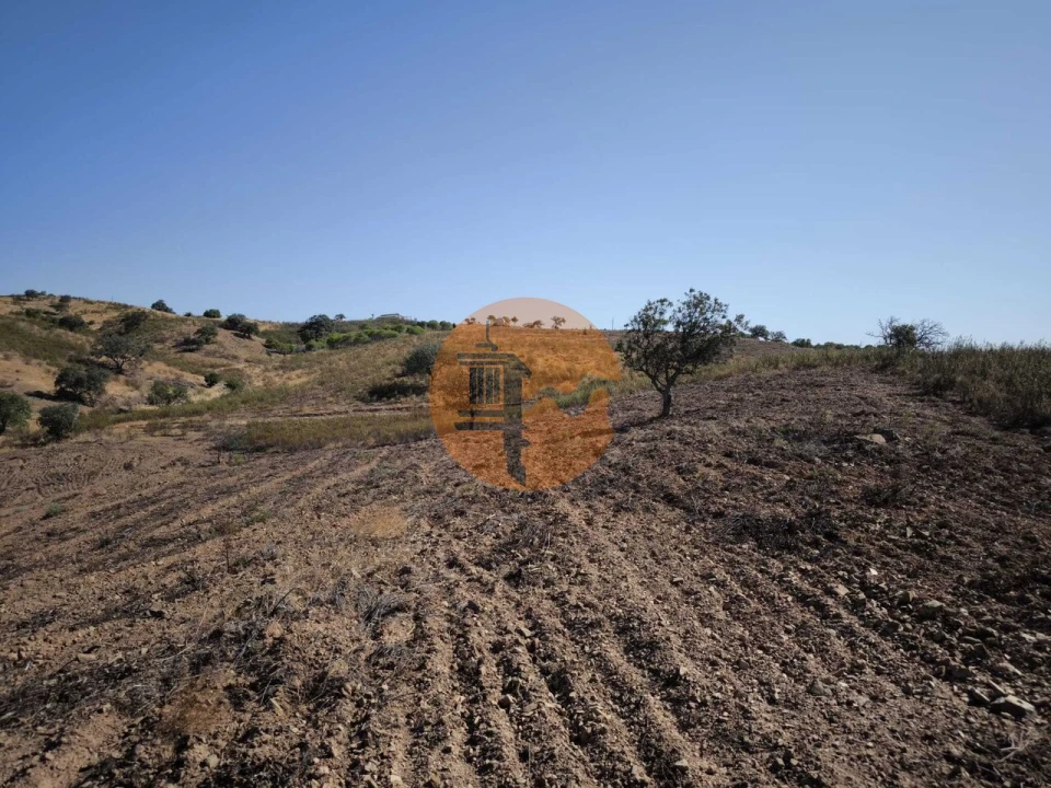 Terreno para Venda em Azinhal Foto 27