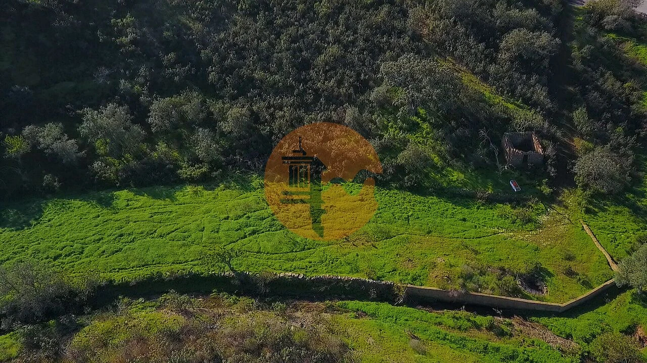 Terreno para Venda em Azinhal Foto 29