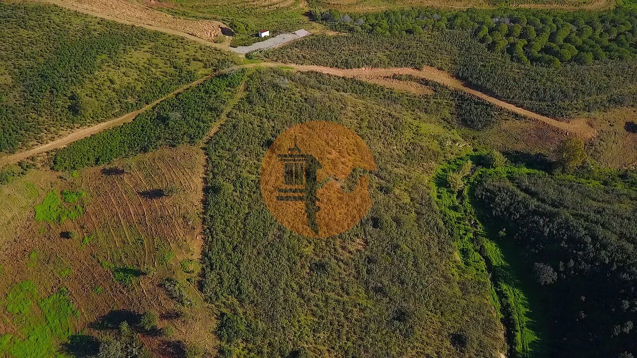 Terreno para Venda em Azinhal Foto 36