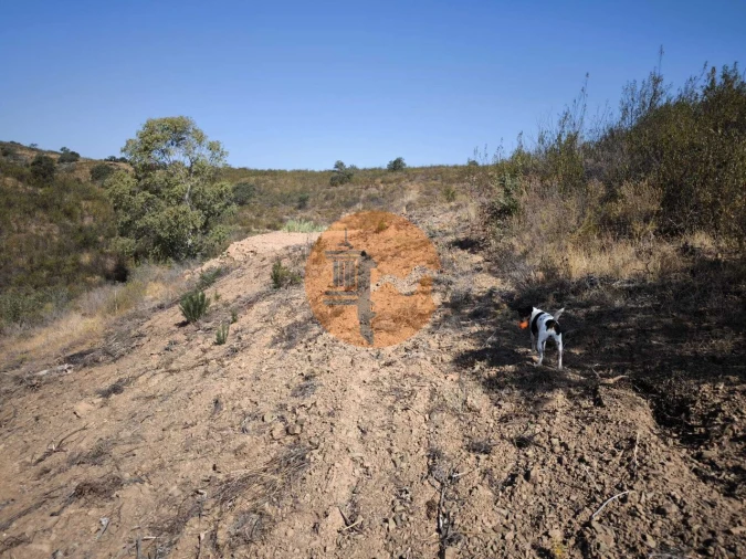 Terreno para Venda em Azinhal Foto 5