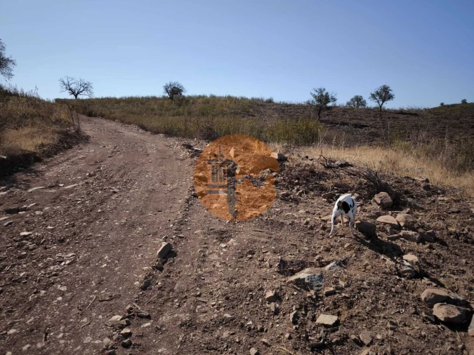 Terreno para Venda em Azinhal Foto 11