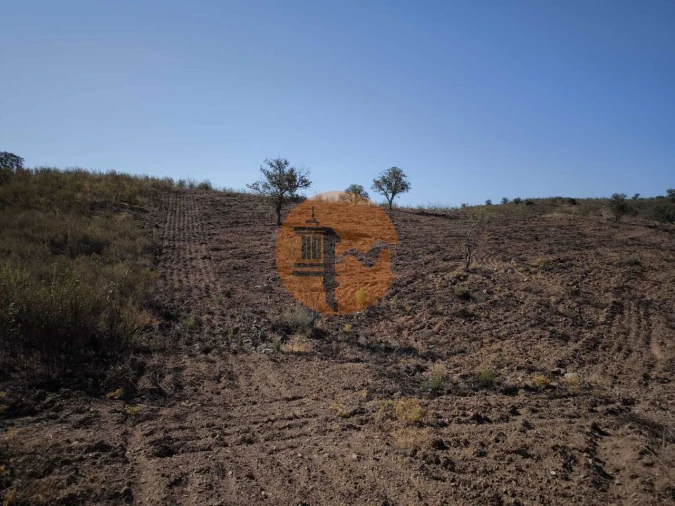 Terreno para Venda em Azinhal Foto 6