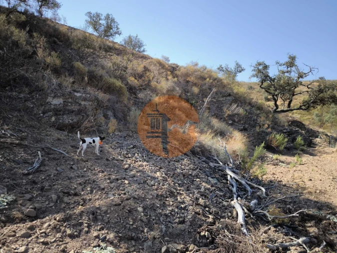 Terreno para Venda em Azinhal Foto 7