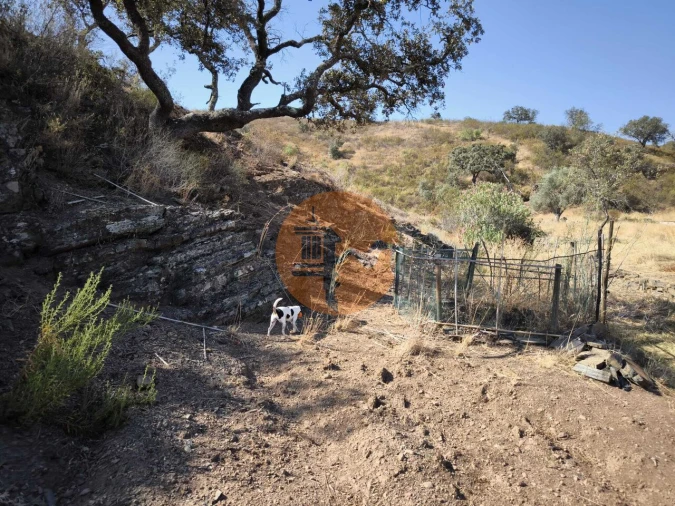 Terreno para Venda em Azinhal Foto 10