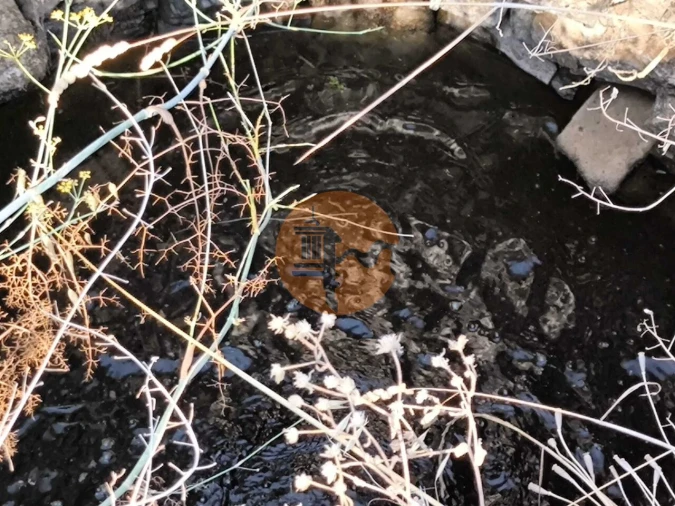 Terreno para Venda em Azinhal Foto 4