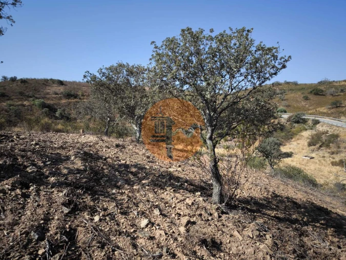 Terreno para Venda em Azinhal Foto 20