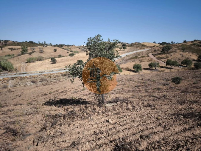 Terreno para Venda em Azinhal Foto 22