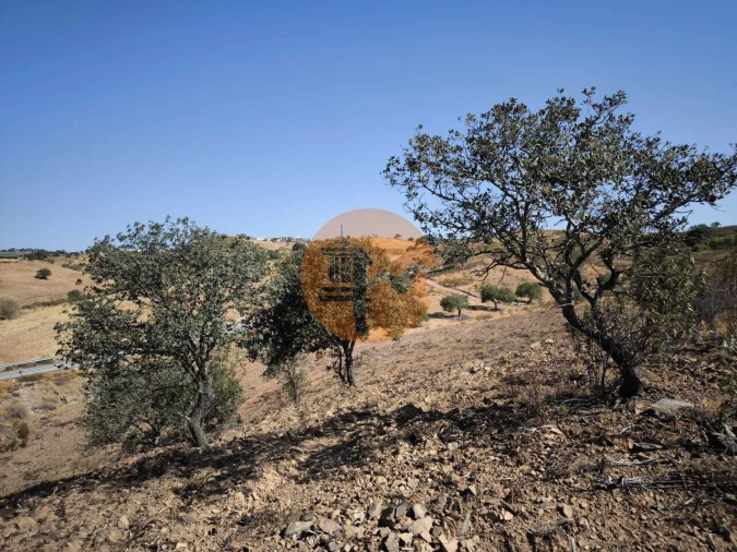 Terreno para Venda em Azinhal Foto 24