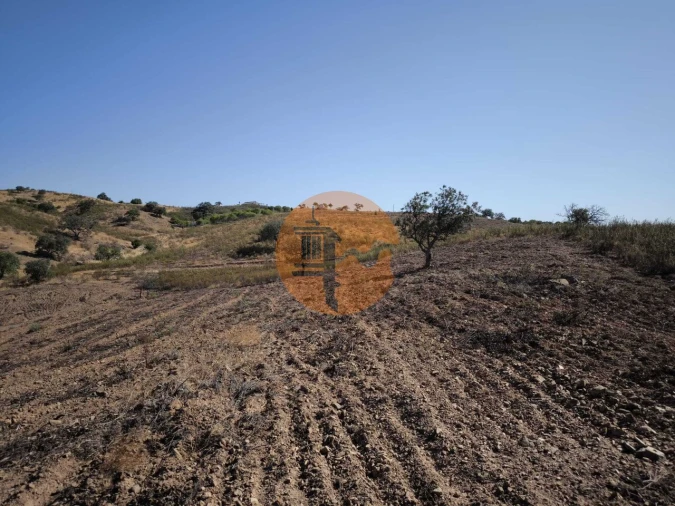 Terreno para Venda em Azinhal Foto 27
