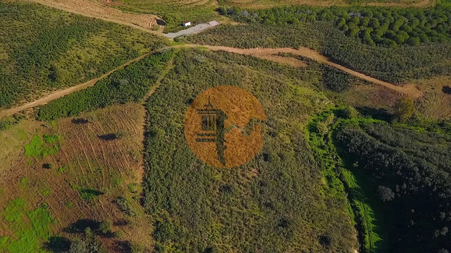 Terreno para Venda em Azinhal Foto 36