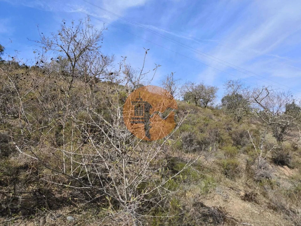 Terreno para Venda em Castro Marim Foto 9
