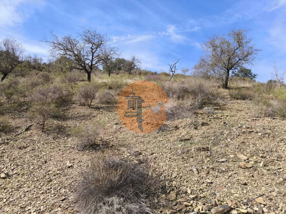 Terreno para Venda em Castro Marim Foto 14