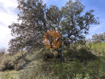 Terreno para Venda em Castro Marim