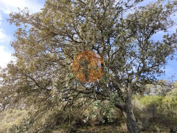 Terreno para Venda em Castro Marim
