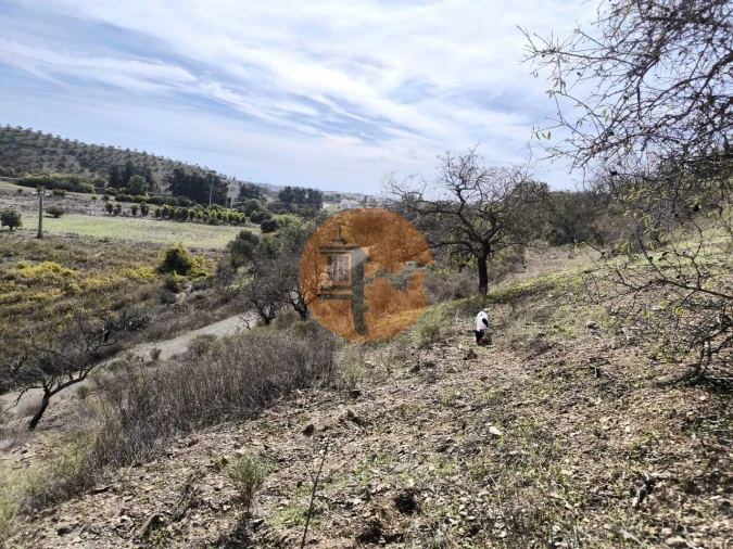 Terreno para Venda em Castro Marim Foto 15