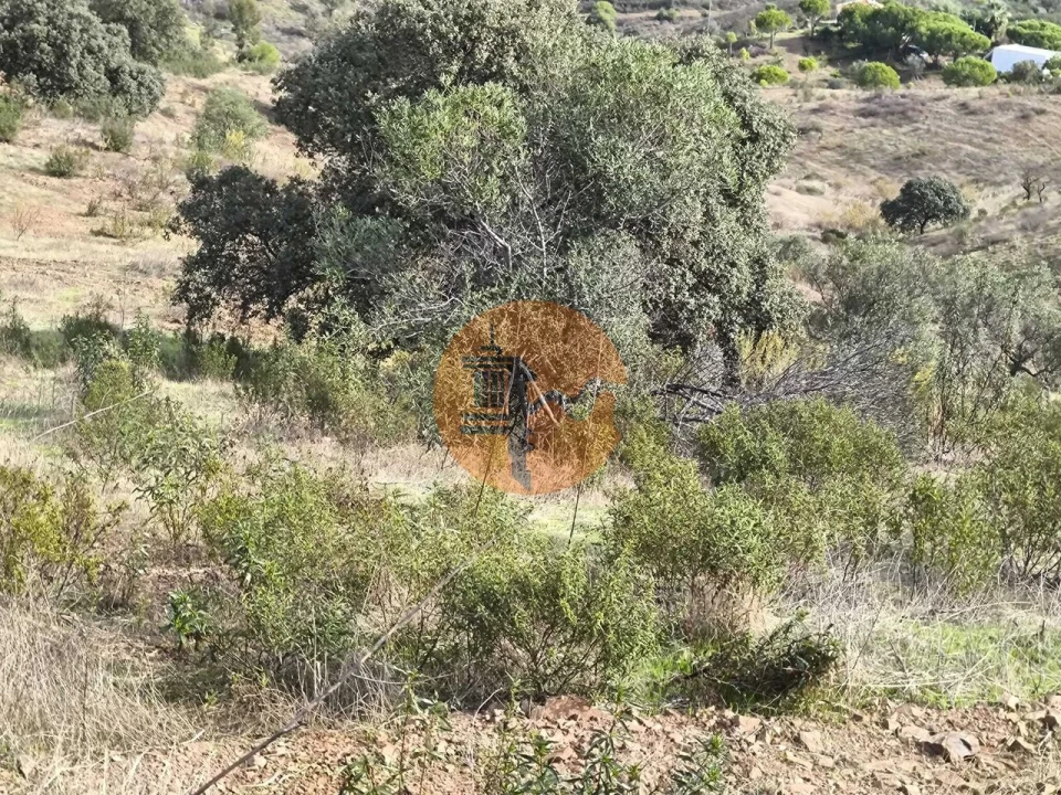 Terreno para Venda em Castro Marim Foto 3
