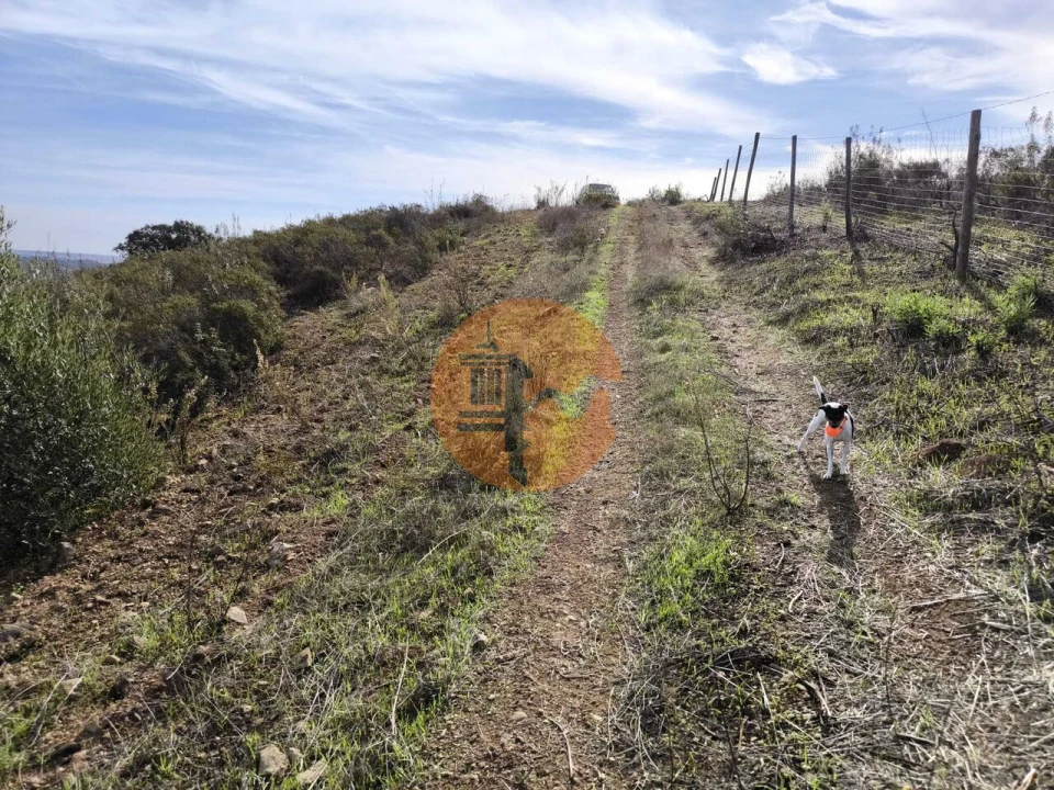 Terreno para Venda em Castro Marim Foto 13