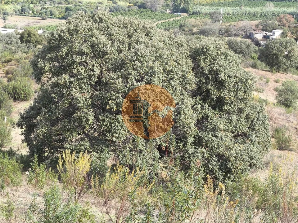 Terreno para Venda em Castro Marim Foto 14