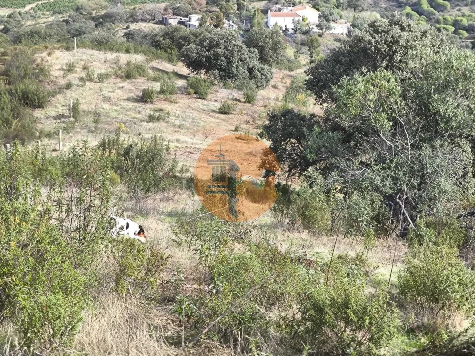 Terreno para Venda em Castro Marim Foto 23