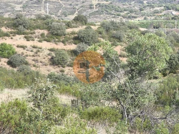 Terreno para Venda em Castro Marim