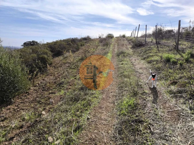 Terreno para Venda em Castro Marim Foto 13