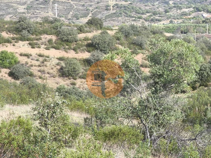 Terreno para Venda em Castro Marim Foto 15
