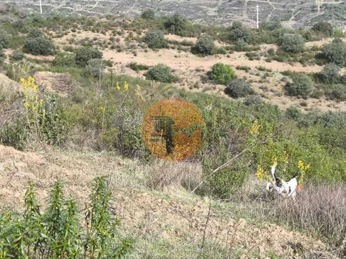 Terreno para Venda em Castro Marim Foto 22