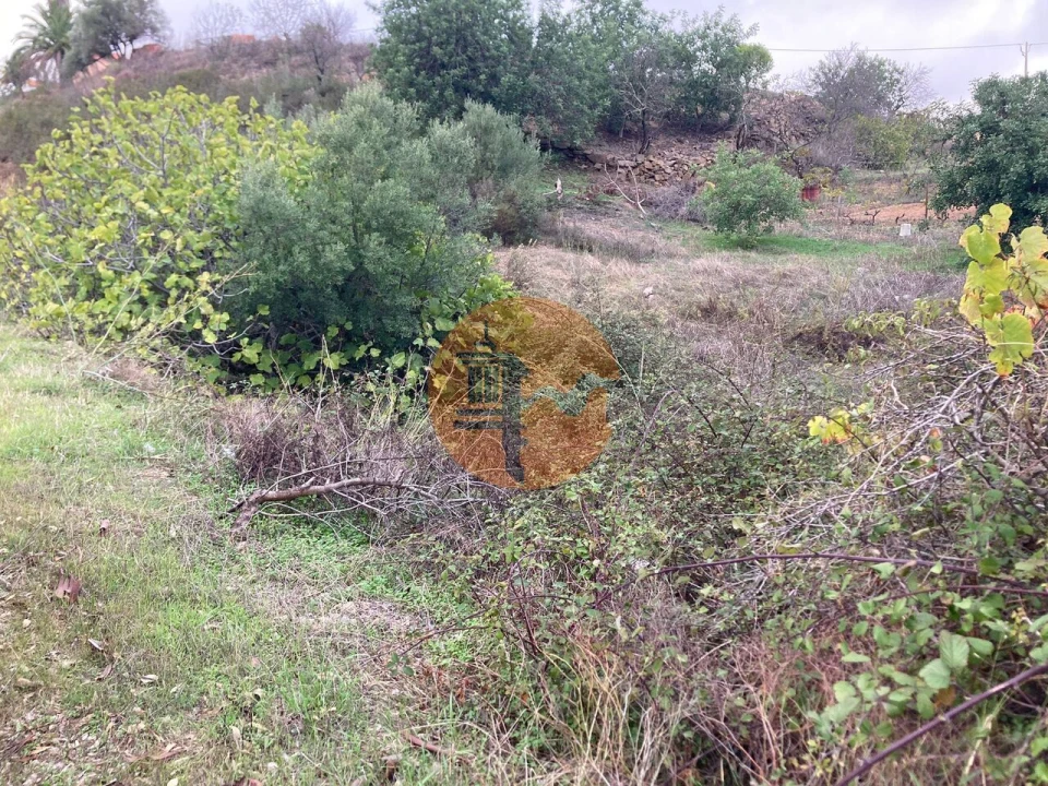 Terreno para Venda em Odeleite Foto 15