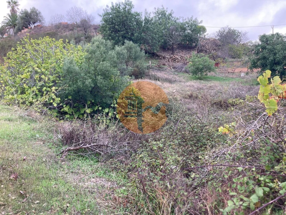 Terreno para Venda em Odeleite Foto 18