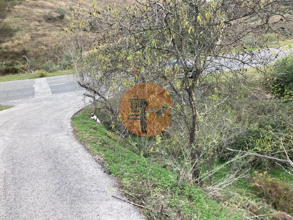 Terreno para Venda em Odeleite Foto 20