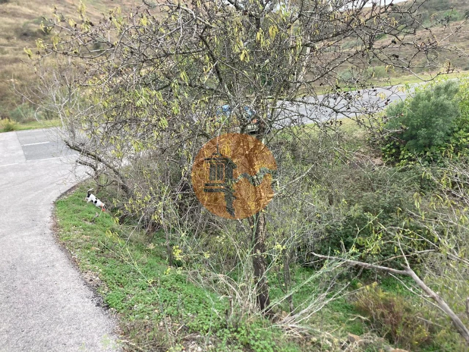 Terreno para Venda em Odeleite Foto 29