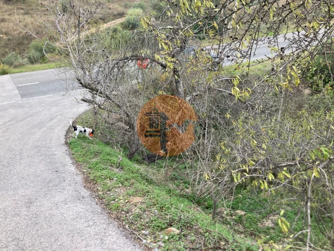 Terreno para Venda em Odeleite Foto 19