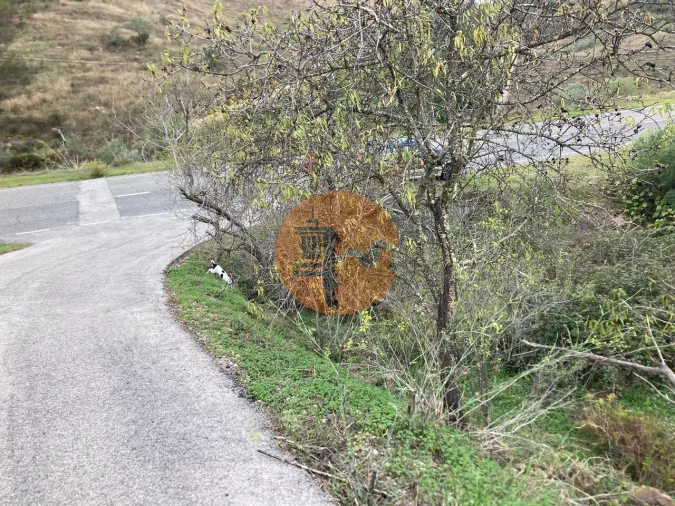 Terreno para Venda em Odeleite Foto 20