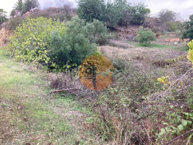 Terreno para Venda em Odeleite Foto 25