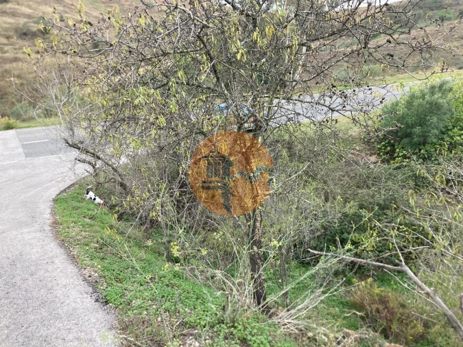 Terreno para Venda em Odeleite Foto 29