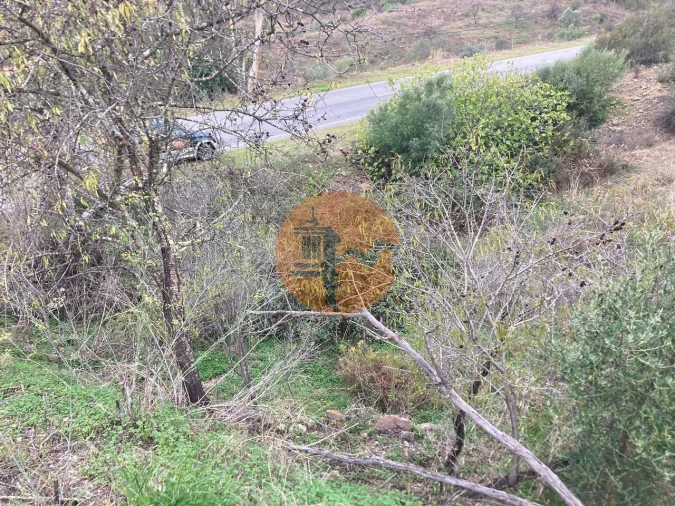 Terreno para Venda em Odeleite Foto 31