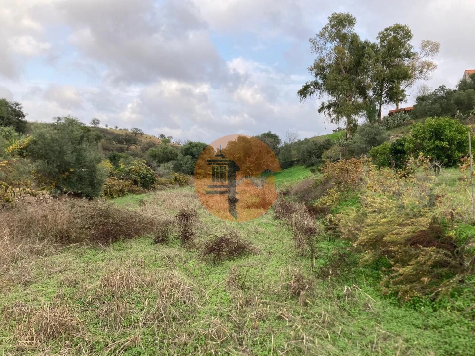 Terreno para Venda em Odeleite Foto 14