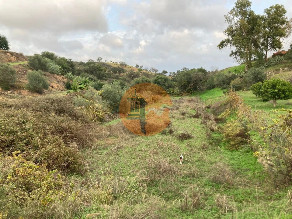 Terreno para Venda em Odeleite Foto 21