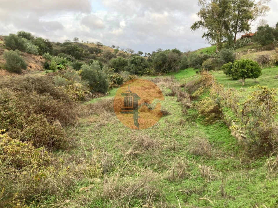 Terreno para Venda em Odeleite Foto 22