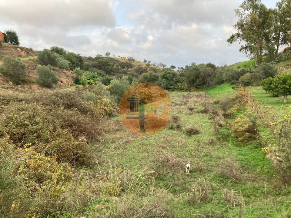 Terreno para Venda em Odeleite Foto 26