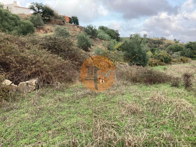 Terreno para Venda em Odeleite Foto 12