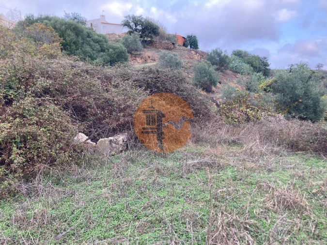 Terreno para Venda em Odeleite Foto 16