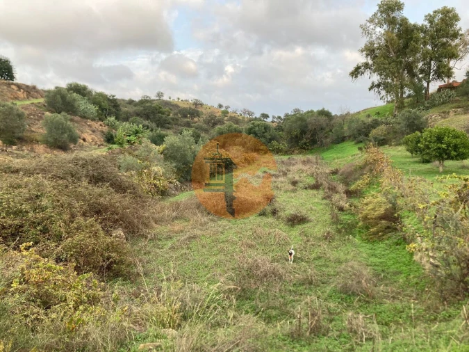 Terreno para Venda em Odeleite Foto 21