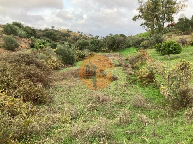 Terreno para Venda em Odeleite Foto 22