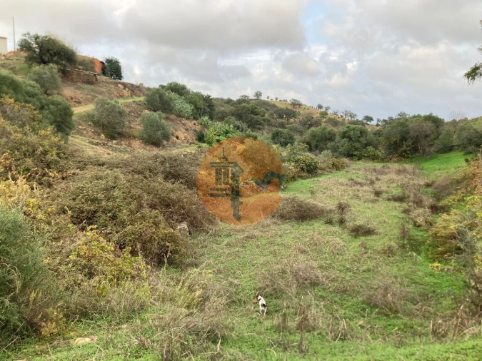 Terreno para Venda em Odeleite Foto 25