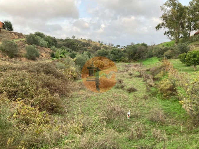 Terreno para Venda em Odeleite Foto 26